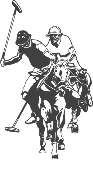 Despre US Polo Assn Moldova